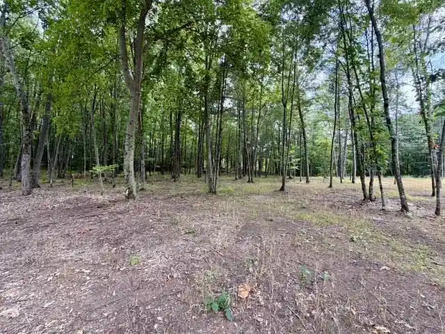 Photo 3 of Land for sale at Carrie Lane Lane, Pound, WI 54161 | MLS# 50331263 | Listing updated on 2026-09-12