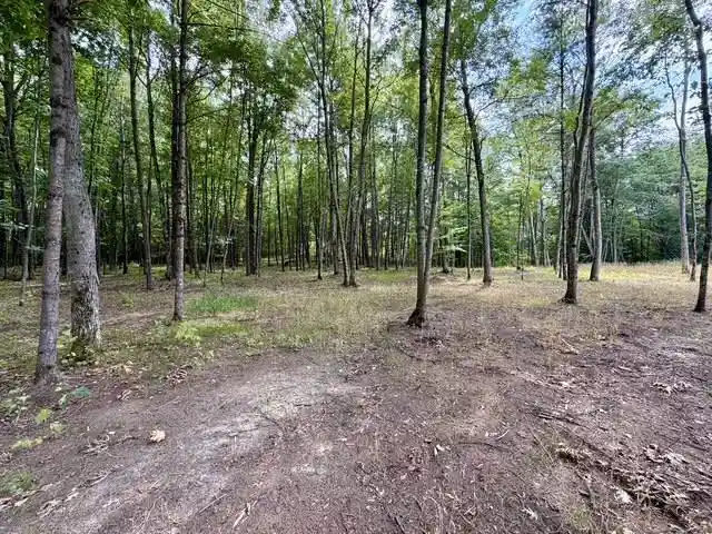 Photo 4 of Land for sale at Carrie Lane Lane, Pound, WI 54161 | MLS# 50331263 | Listing updated on 2026-09-12
