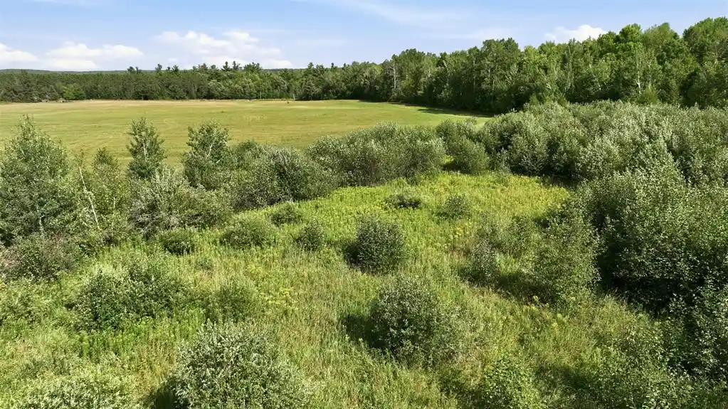 Photo 2 of Land for sale at 10 Acres State Hwy 40, Bruce, WI 54819 | MLS# 1604368 | Listing updated on 2026-09-02
