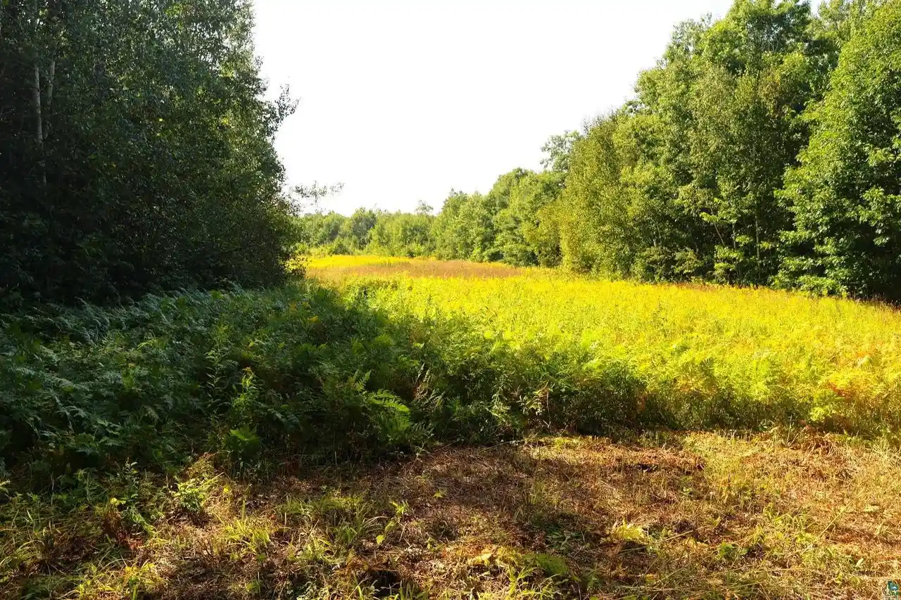 Photo 2 of Land for sale at 33xxx Old County Hwy K, Bayfield, WI 54814 | MLS# 6127488 | Listing updated on 2026-08-26