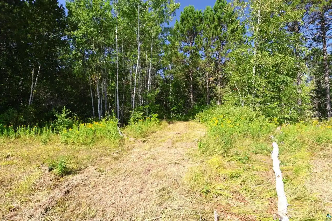 Photo 3 of Land for sale at 33Xxx Old County Hwy K, Bayfield, WI 54814 | MLS# 6127488 | Listing updated on 2026-08-26