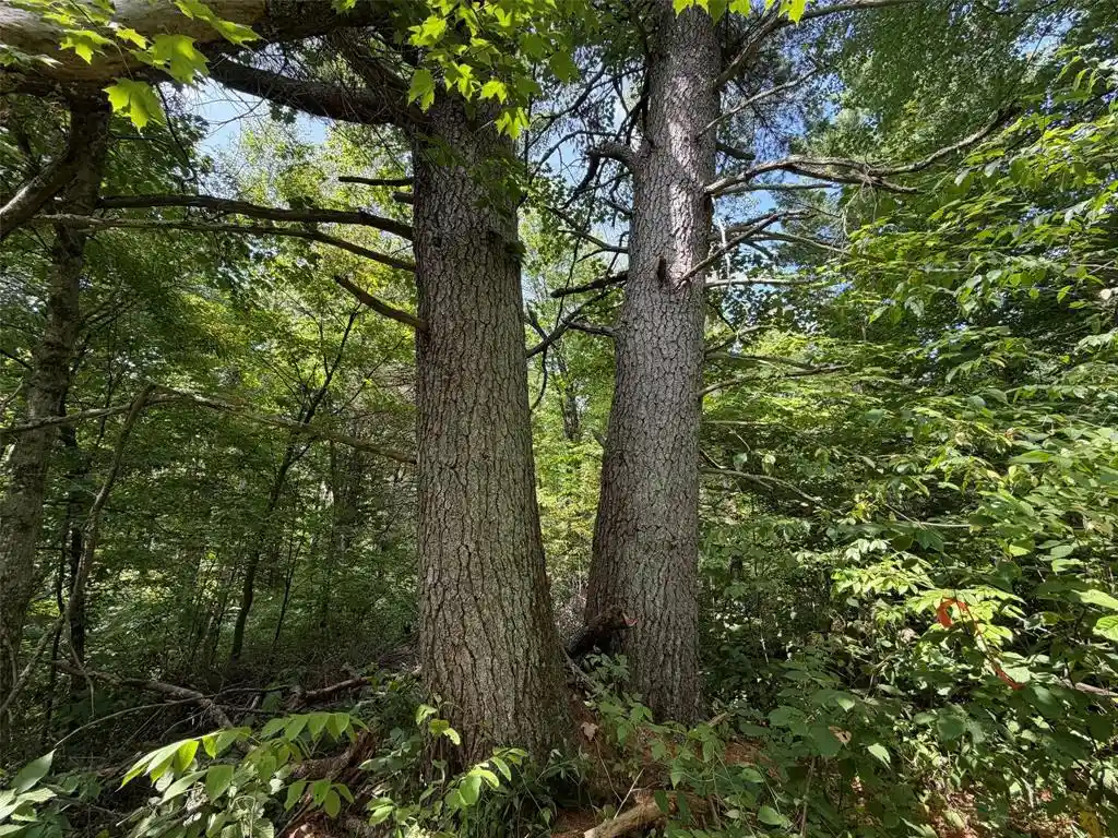 23rd image of Lot 2 Smith Road Road, Couderay, WI 54828 | MLS# 1604260