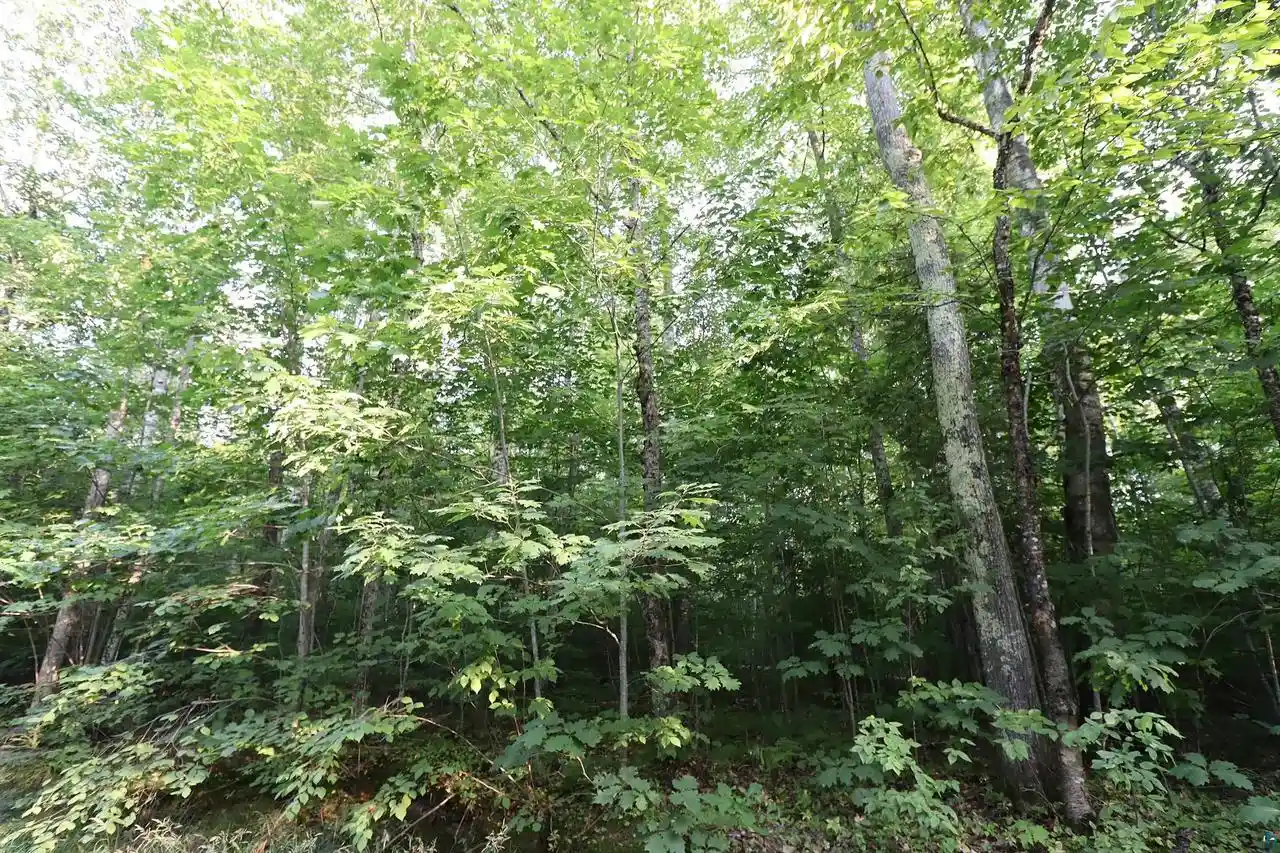 Photo 11 of Land for sale at 36xx North Shore Rd Rd, La Pointe, WI 54850 | MLS# 6127495 | Listing updated on 2026-08-24