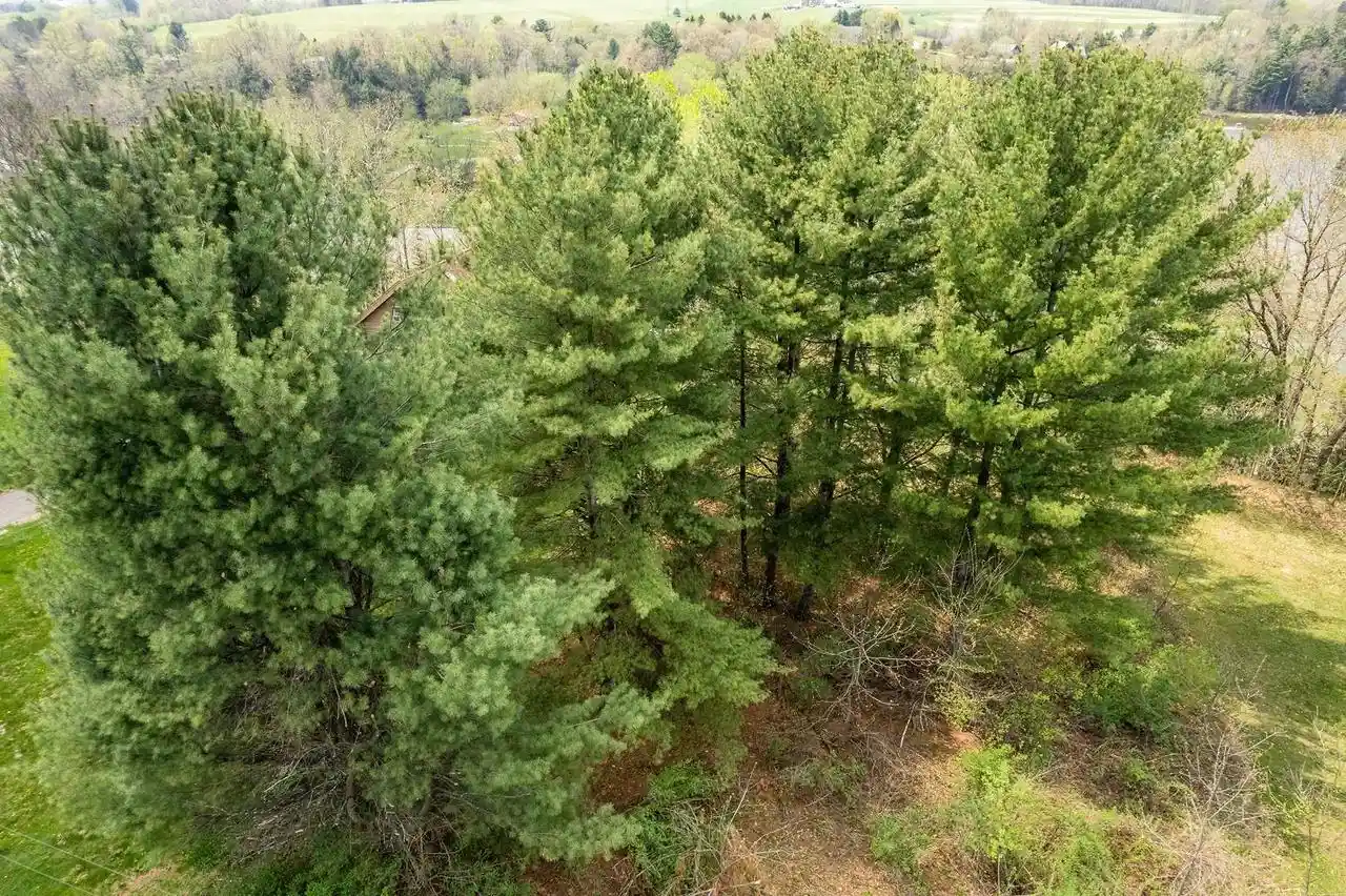 11th image of Lot 35 Mockingbird Court Court, La Valle, WI 53941 | MLS# 2030988