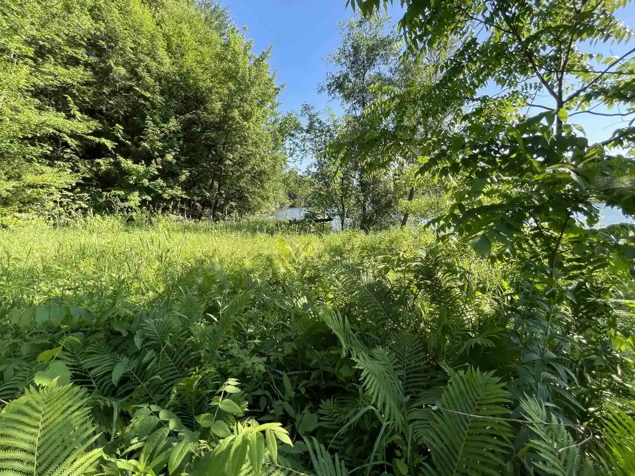 30th image of Lots 36 37 Mockingbird Court Court, La Valle, WI 53941 | MLS# 2030989