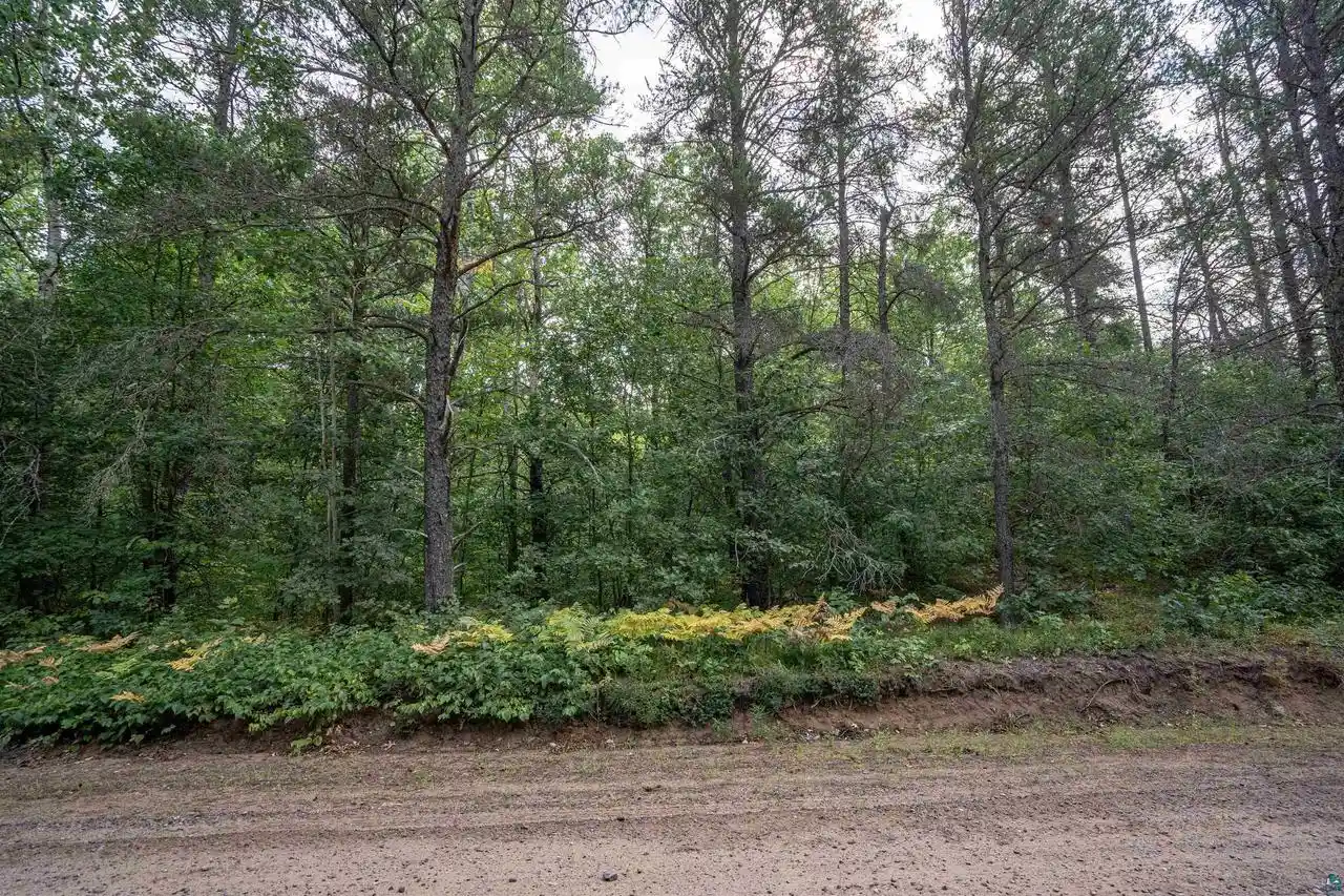 Photo 2 of Land for sale at 63xxx Bradfield Rd Rd, Iron River, WI 54847 | MLS# 6127502 | Listing updated on 2026-08-21
