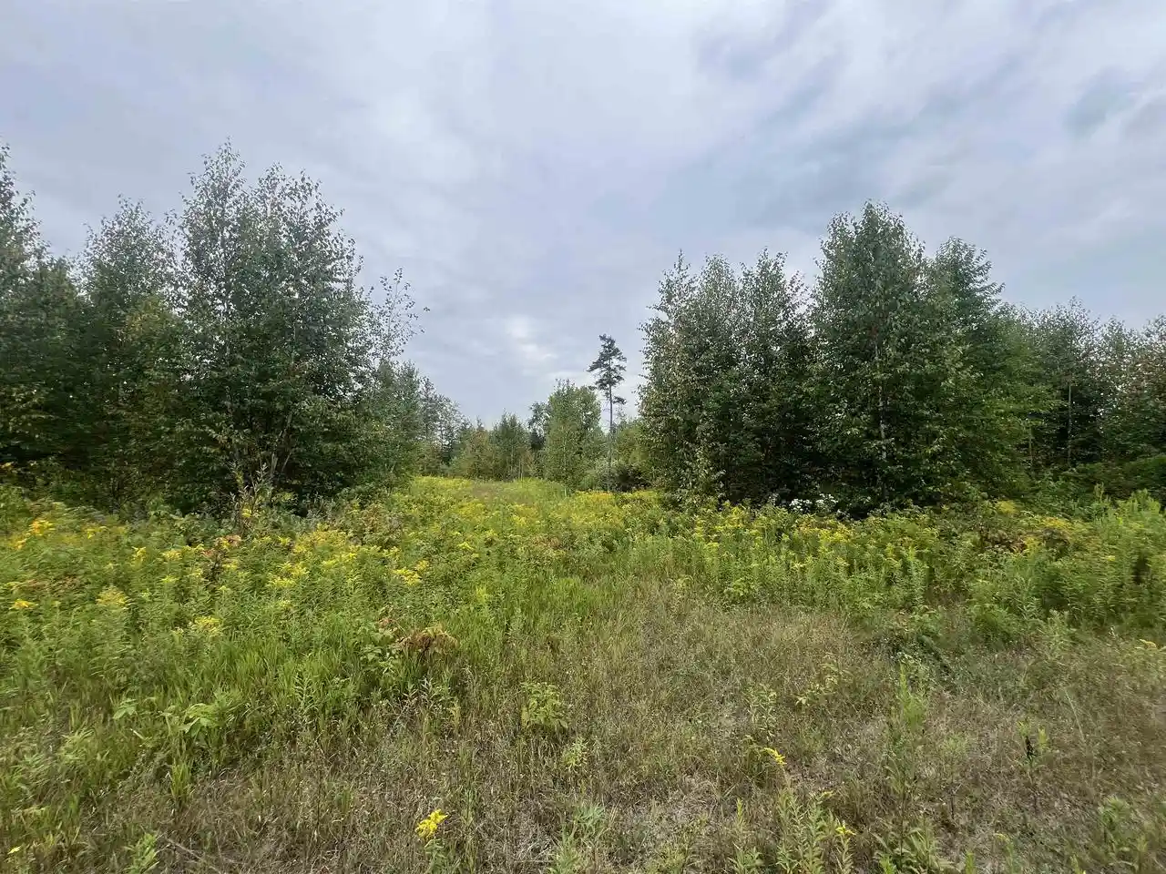 1st image of W5350 Big Woods Lane Lane, Pembine, WI 54156 | MLS# 50331433