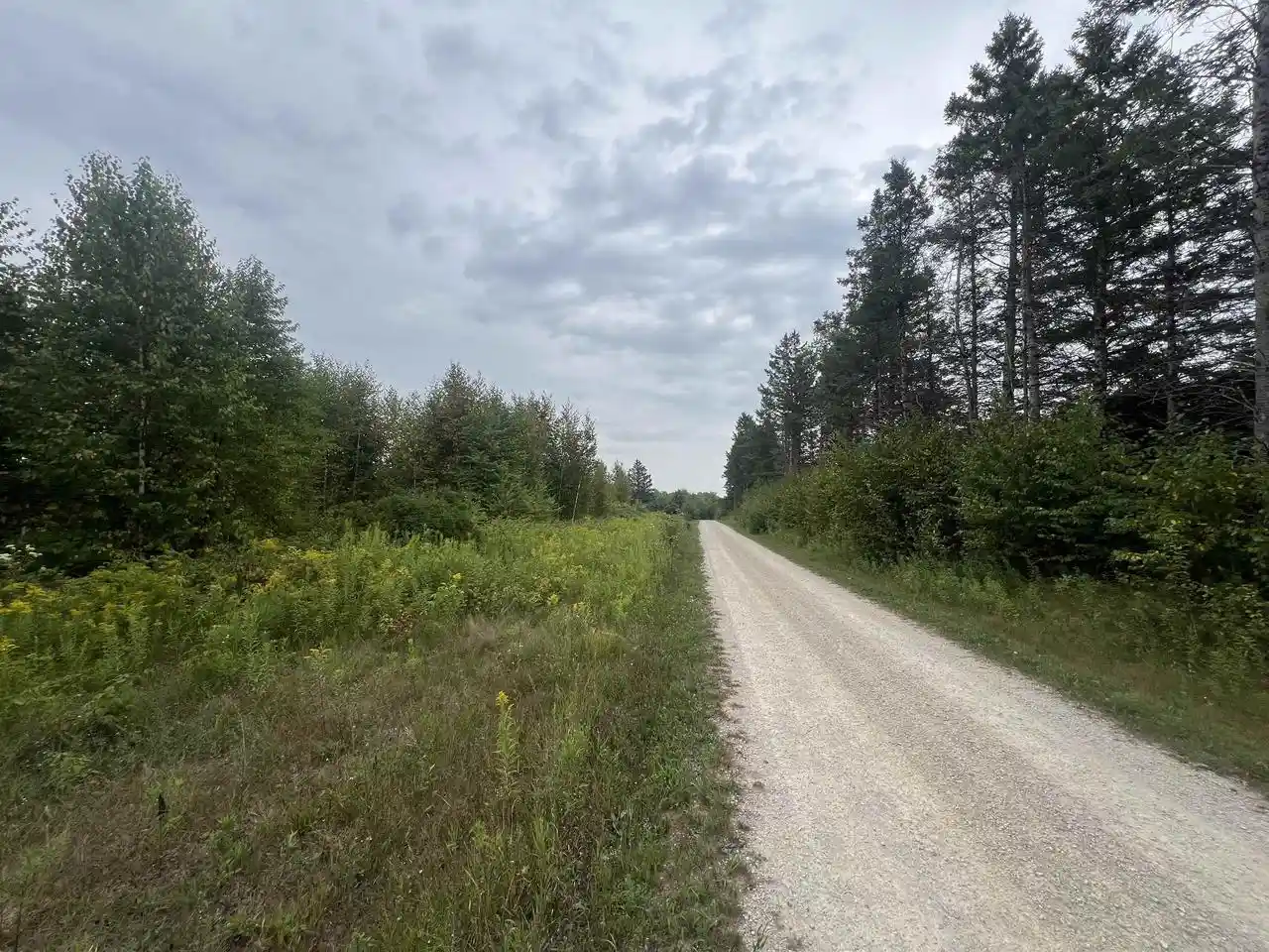 2nd image of W5350 Big Woods Lane Lane, Pembine, WI 54156 | MLS# 50331433