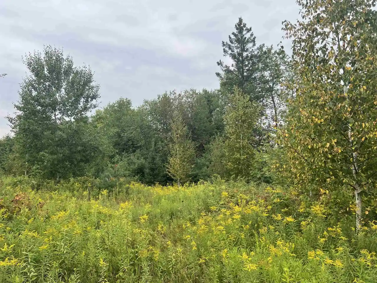 6th image of W5350 Big Woods Lane Lane, Pembine, WI 54156 | MLS# 50331433