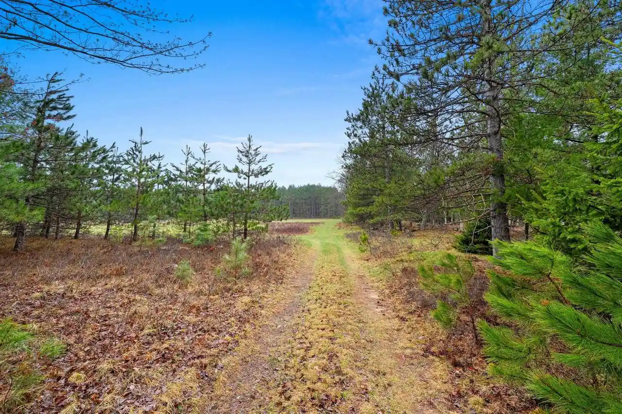 1st image of Russ Mainik Road Road, Wausaukee, WI 54177 | MLS# 50331453