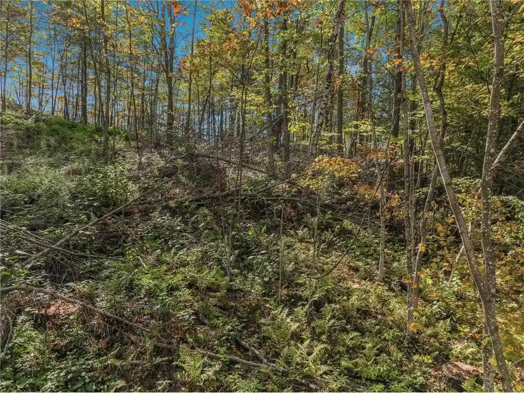 2nd image of Lot 2 Tbd 1240th Avenue Avenue, Glenwood City, WI 54734 | MLS# 7131522