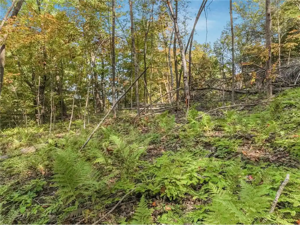 3rd image of Lot 2 Tbd 1240Th Avenue Avenue, Glenwood City, WI 54734 | MLS# 7131522