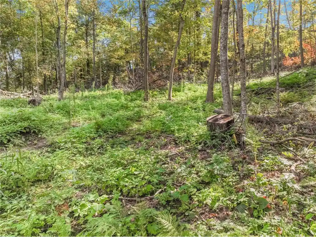 4th image of Lot 2 Tbd 1240Th Avenue Avenue, Glenwood City, WI 54734 | MLS# 7131522