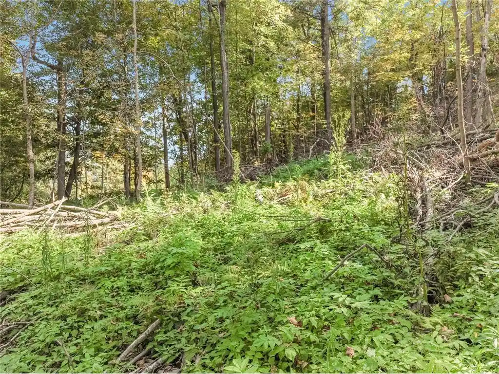 5th image of Lot 2 Tbd 1240Th Avenue Avenue, Glenwood City, WI 54734 | MLS# 7131522