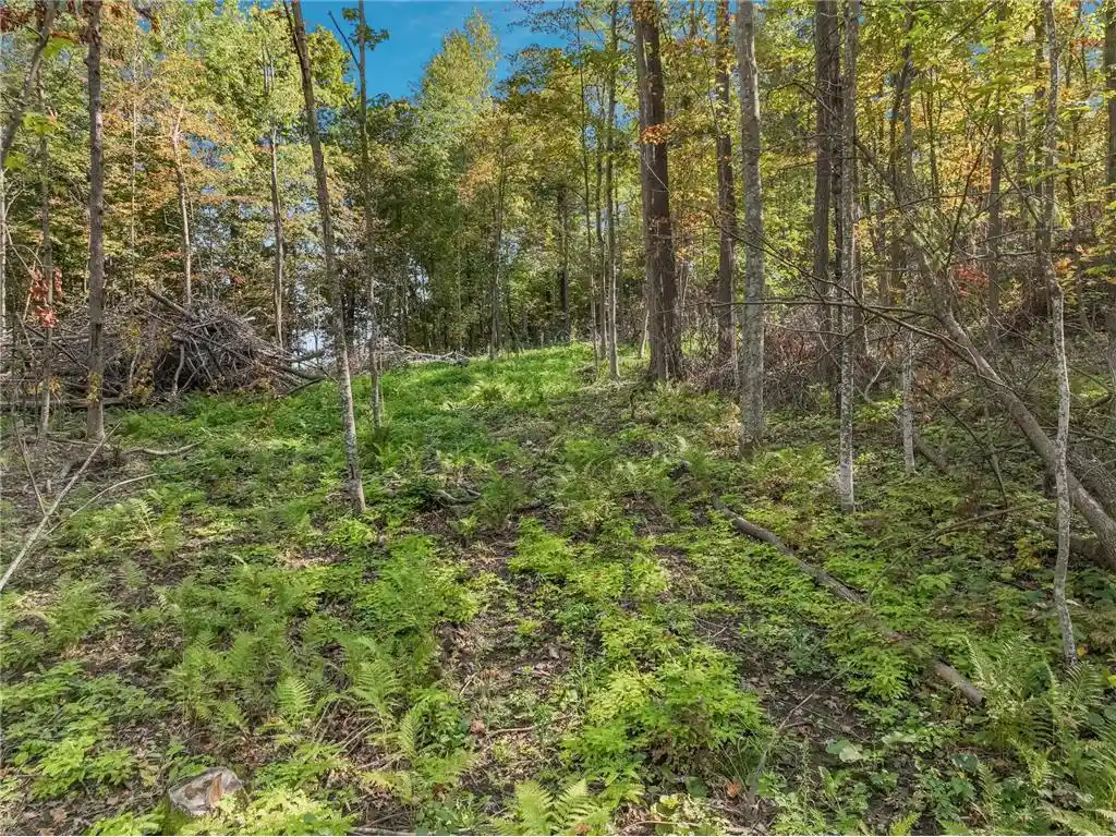 24th image of Lot 2 Tbd 1240th Avenue Avenue, Glenwood City, WI 54734 | MLS# 7131522