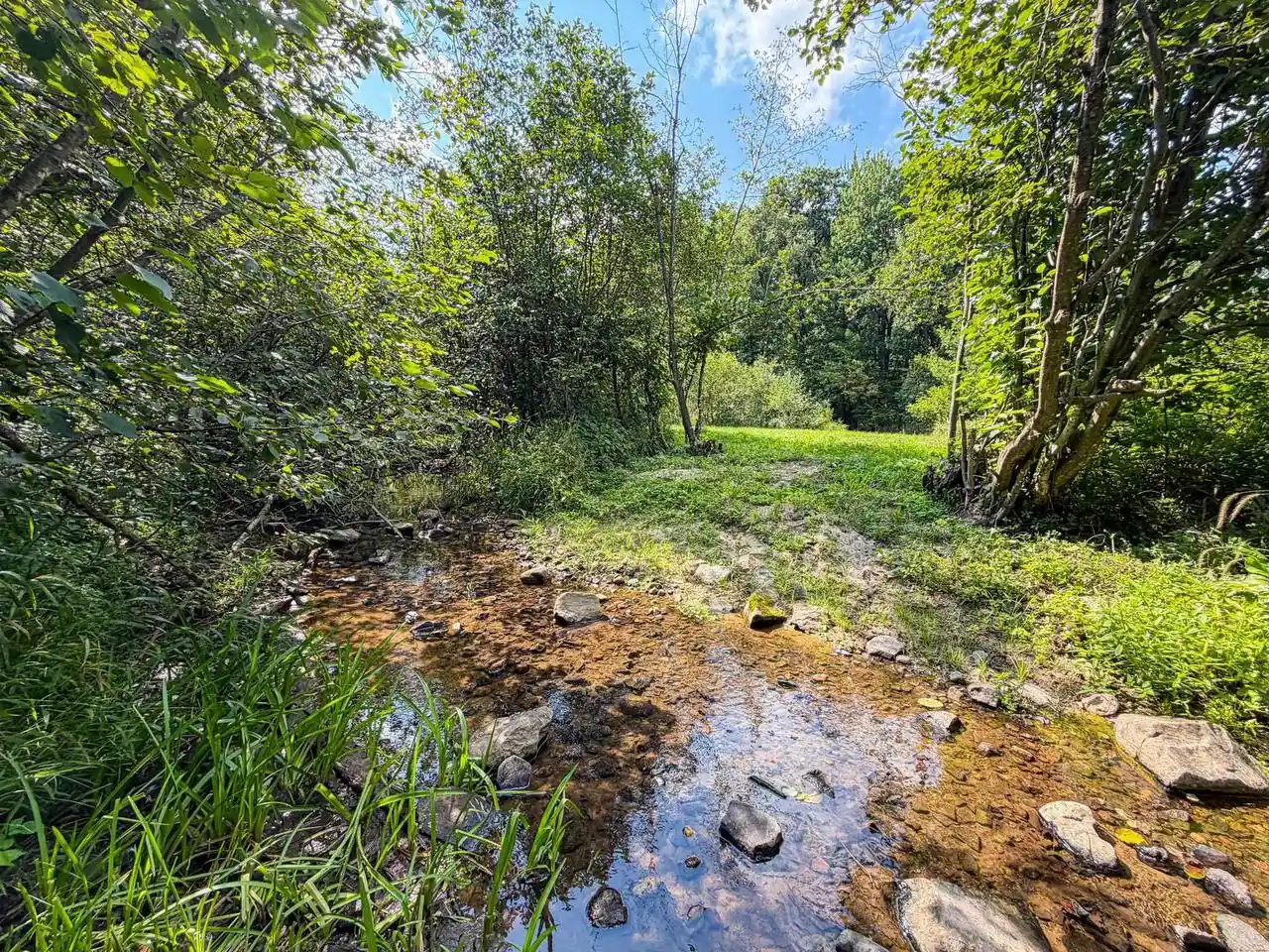 Photo 1 of Land for sale at 0000 Bachelors Avenue Avenue, Greenwood, WI 54437 | MLS# 2031033 | Listing updated on 2026-09-17