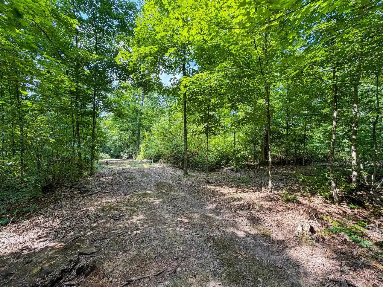 Photo 3 of Land for sale at 0000 Bachelors Avenue Avenue, Greenwood, WI 54437 | MLS# 2031033 | Listing updated on 2026-09-17