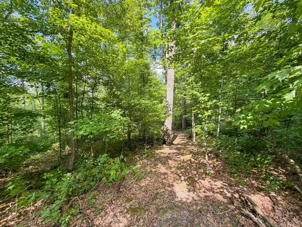 Photo 3 of Land for sale at 0000 Bachelors Avenue Avenue, Greenwood, WI 54437 | MLS# 2031033 | Listing updated on 2026-09-17