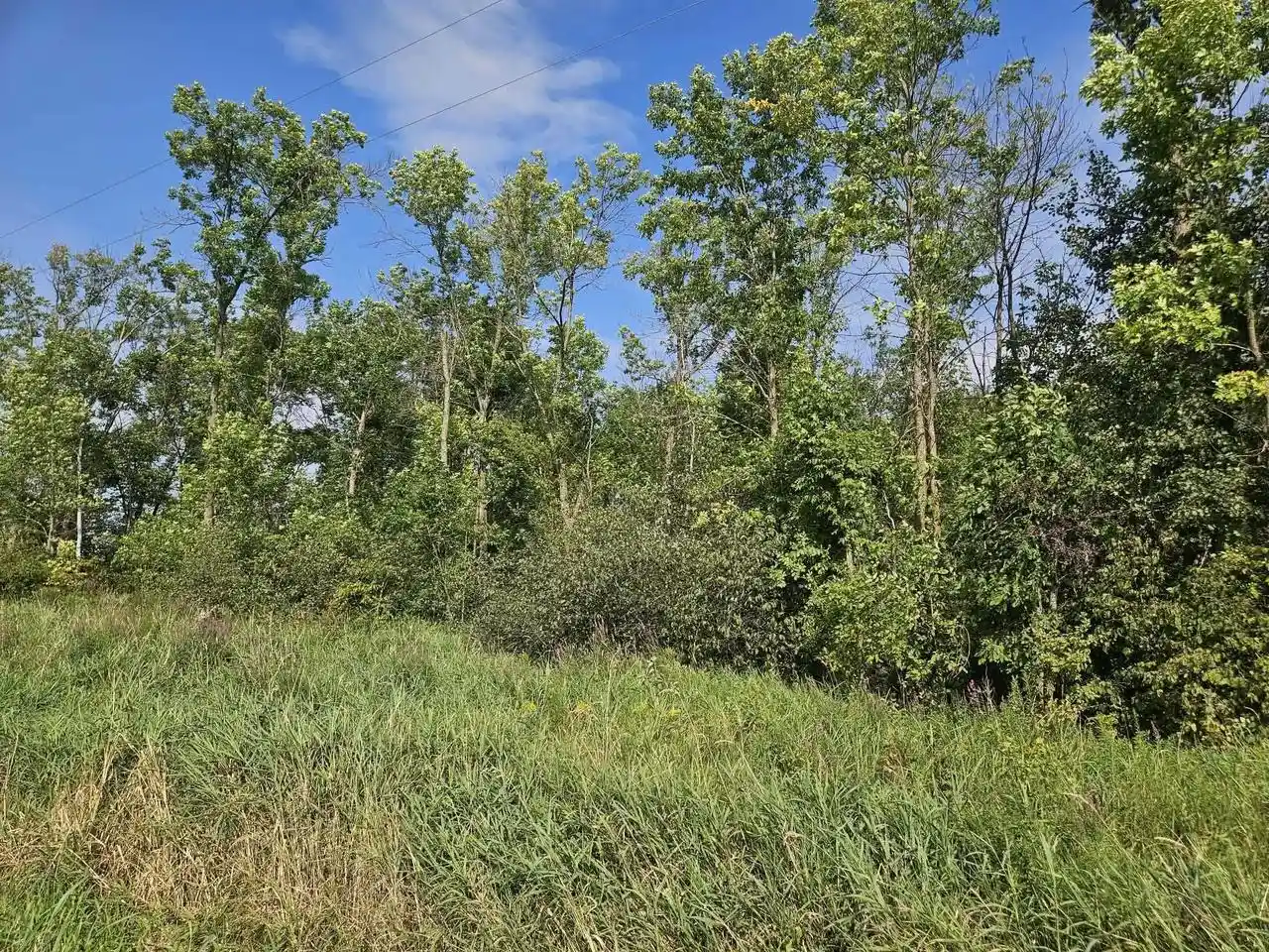 1st image of 19 Acres Mol Keystone Avenue Avenue, Spencer, WI 54479 | MLS# 22604104