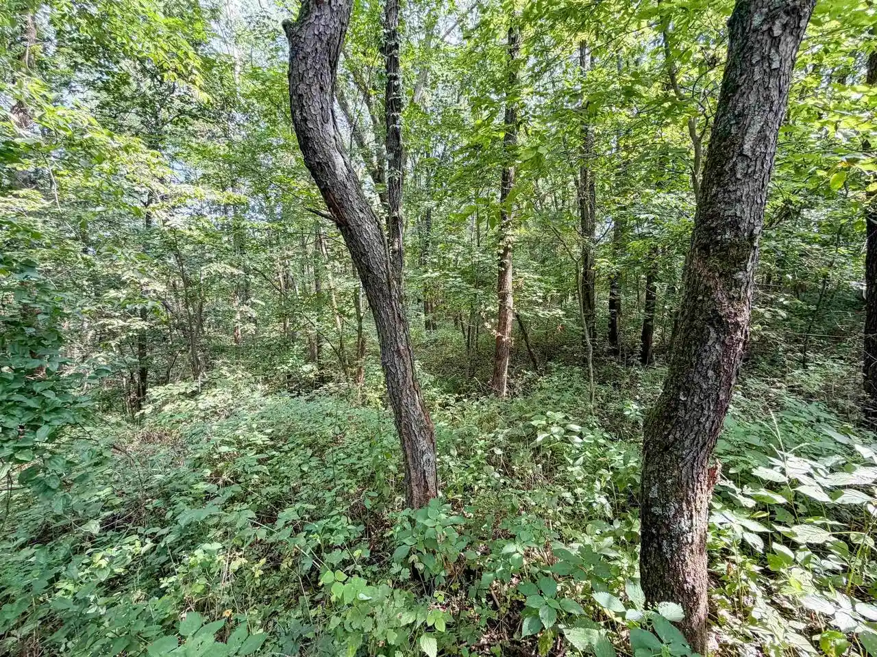 5th image of 5016 Starlight Lane Lane, Cassville, WI 53806 | MLS# 2031055