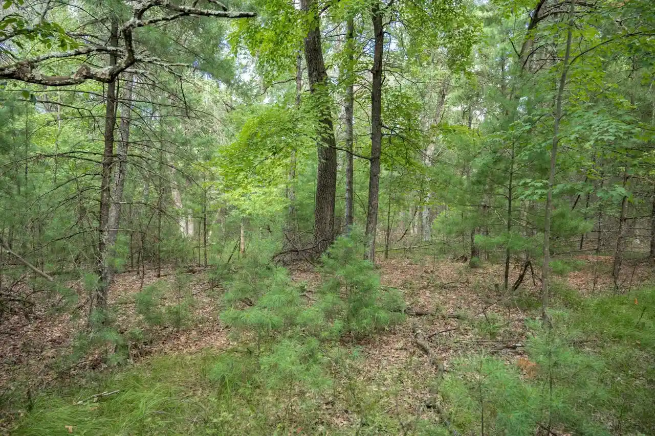 1st image of Lot 130 19th Pass Pass, Arkdale, WI 54613 | MLS# 2031076