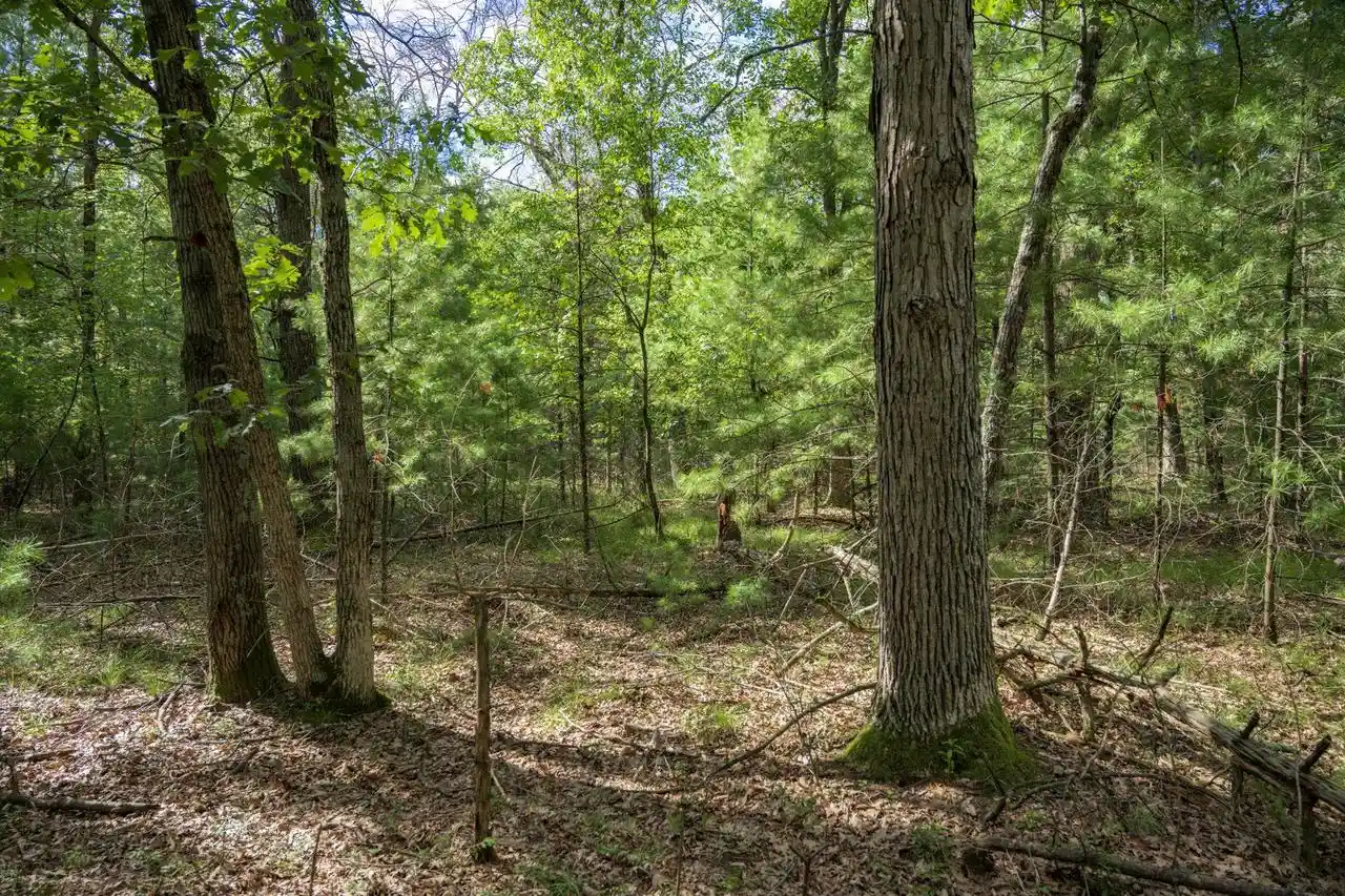 Photo 3 of Land for sale at Lot 130 19Th Pass Pass, Arkdale, WI 54613 | MLS# 2031076 | Listing updated on 2026-08-22
