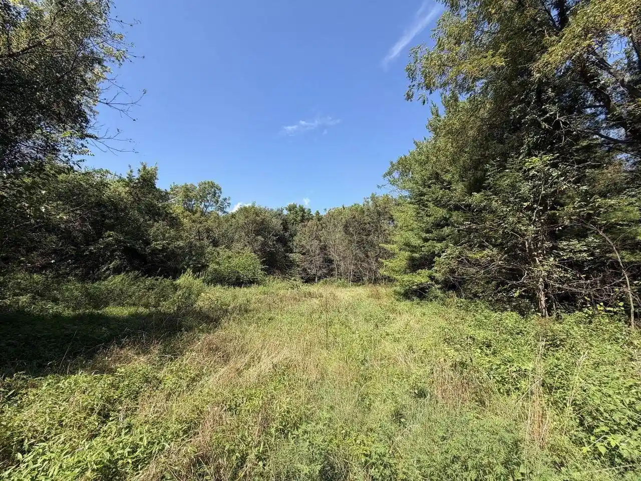 4th image of 140 Acres Ideal Road Road, Fennimore, WI 53809 | MLS# 2031085