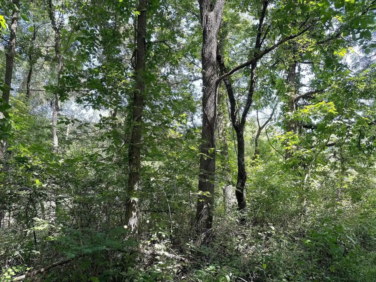5th image of 140 Acres Ideal Road Road, Fennimore, WI 53809 | MLS# 2031085