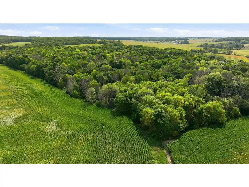 Photo 4 of Land for sale at Xxx 260Th St, Glenwood City, WI 54013 | MLS# 7132024 | Listing updated on 2026-08-26