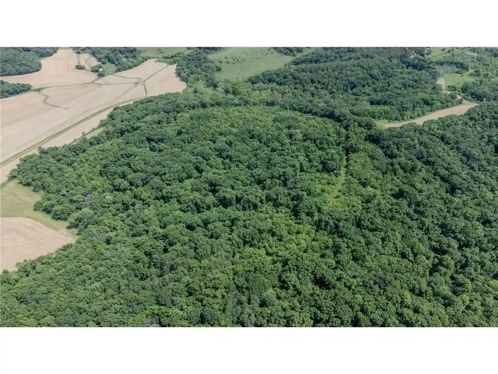 Photo 3 of Land for sale at 00 Dopp, Ettrick, WI 54627 | MLS# 7132168 | Listing updated on 2026-10-08