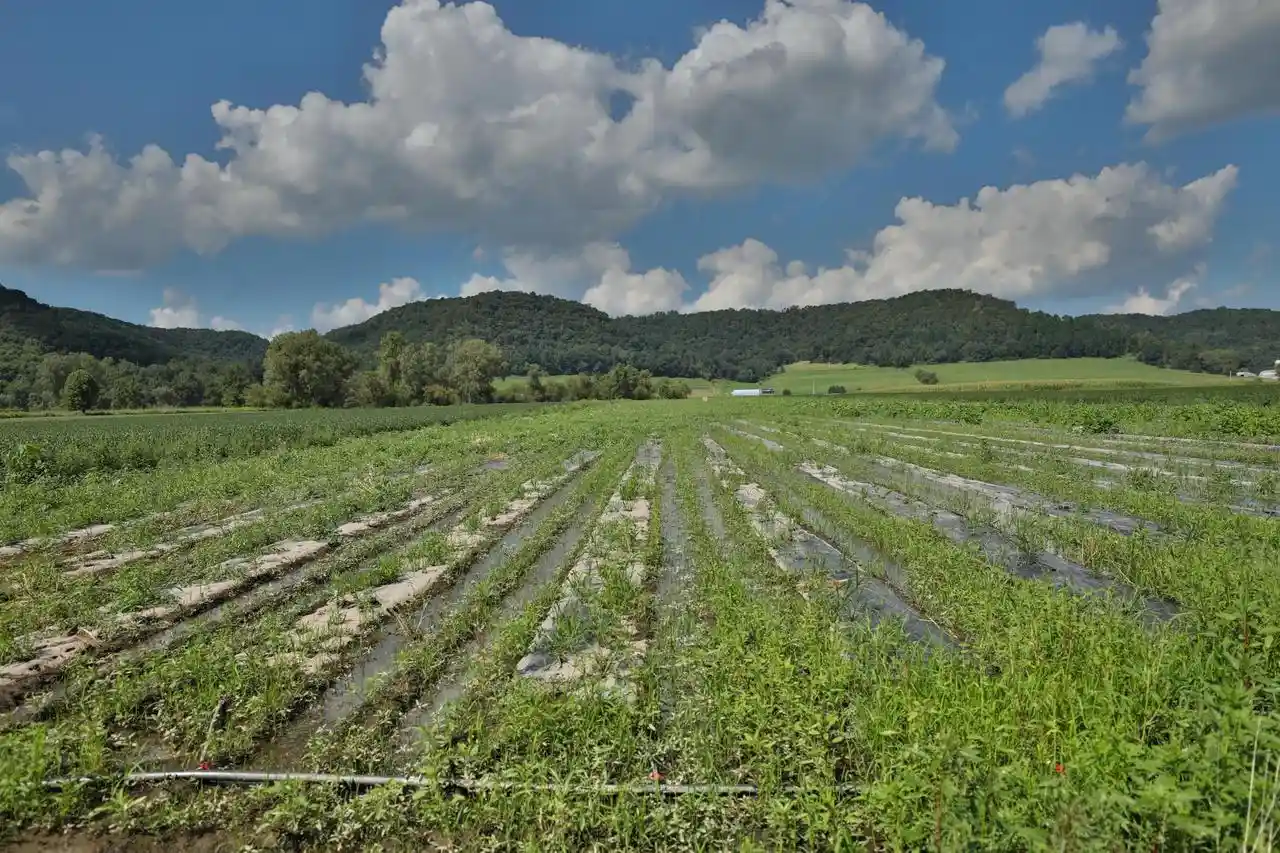 2nd image of E5306 County Rd P, Coon Valley, WI 54623 | MLS# 2031124