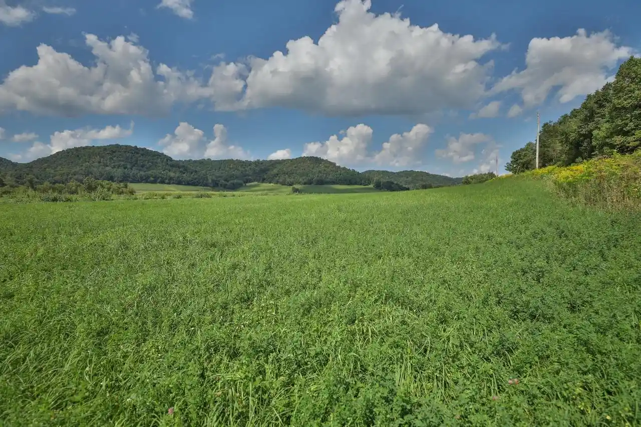 3rd image of E5306 County Rd P, Coon Valley, WI 54623 | MLS# 2031124
