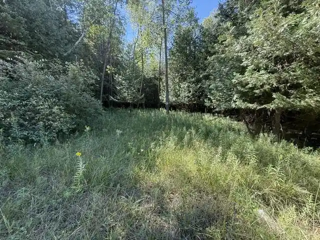 4th image of Sleepy Hollow Dr Dr, Sturgeon Bay, WI 54235 | MLS# 50331567