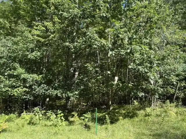 2nd image of Lot 19 Hydro Court Court, Crivitz, WI 54114 | MLS# 1977553