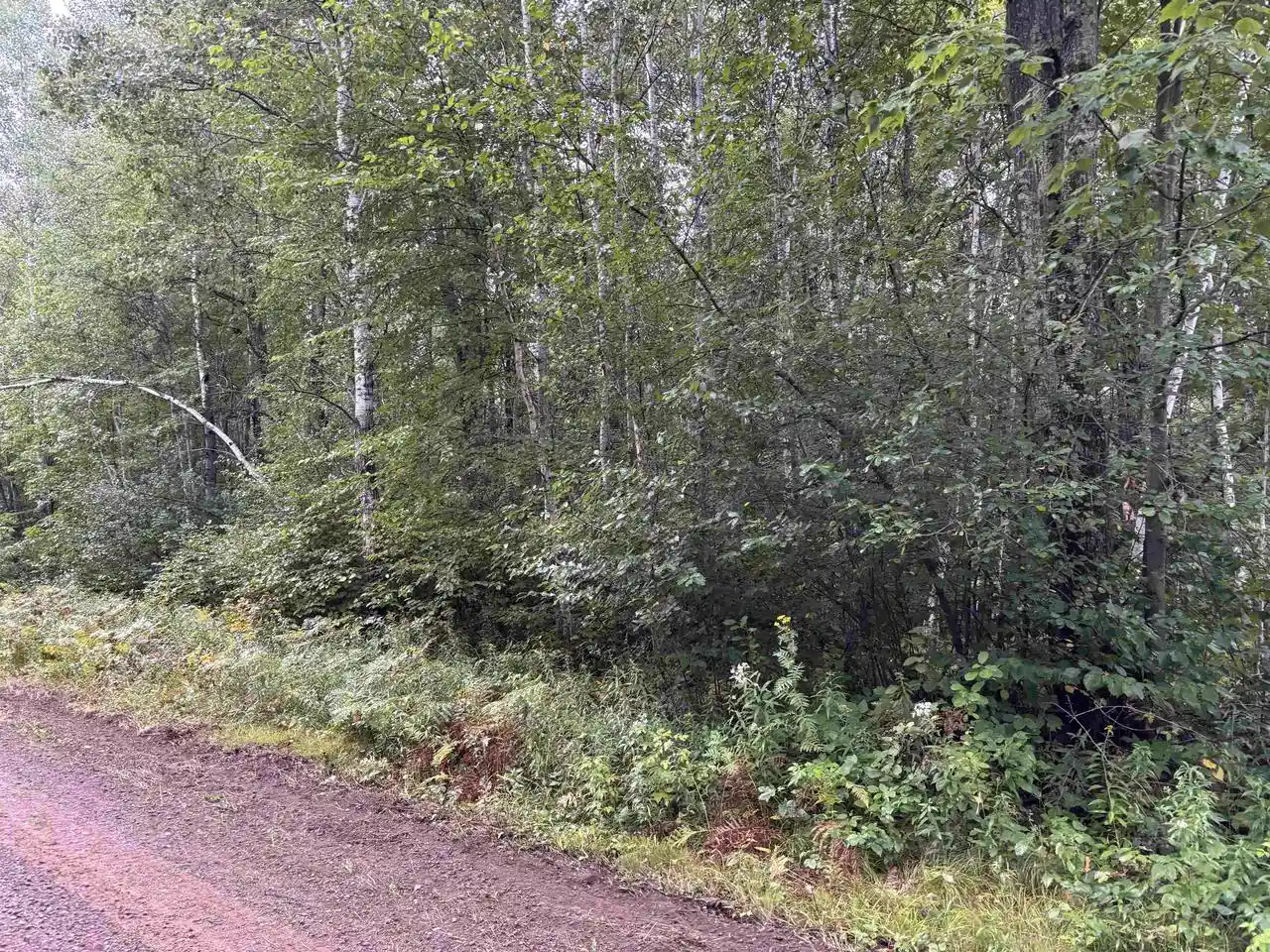 Photo 1 of Land for sale at Armstrong Creek Road Road, Tomahawk, WI 54487 | MLS# 22604144 | Listing updated on 2026-09-06