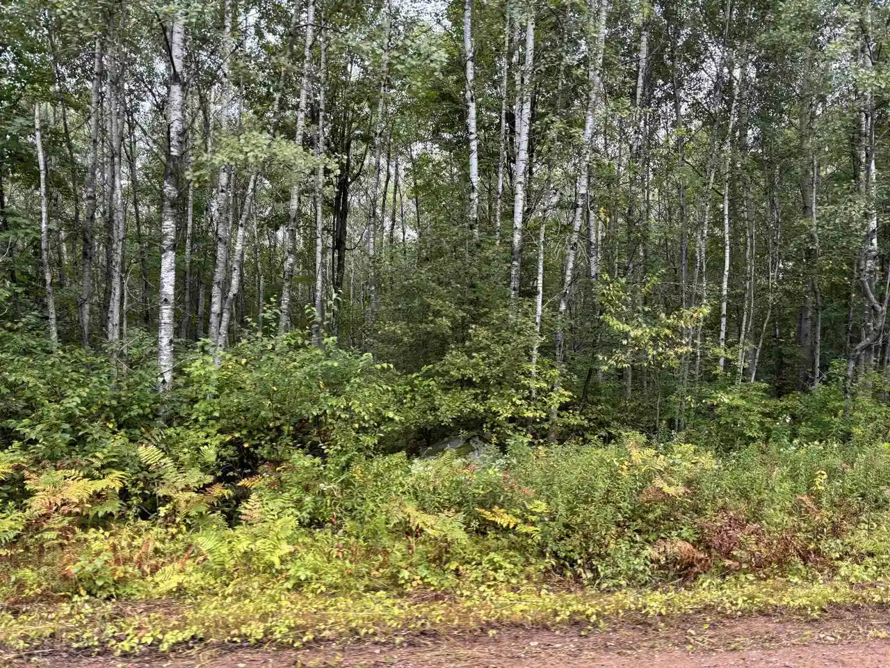 Photo 2 of Land for sale at Armstrong Creek Road Road, Tomahawk, WI 54487 | MLS# 22604144 | Listing updated on 2026-09-06
