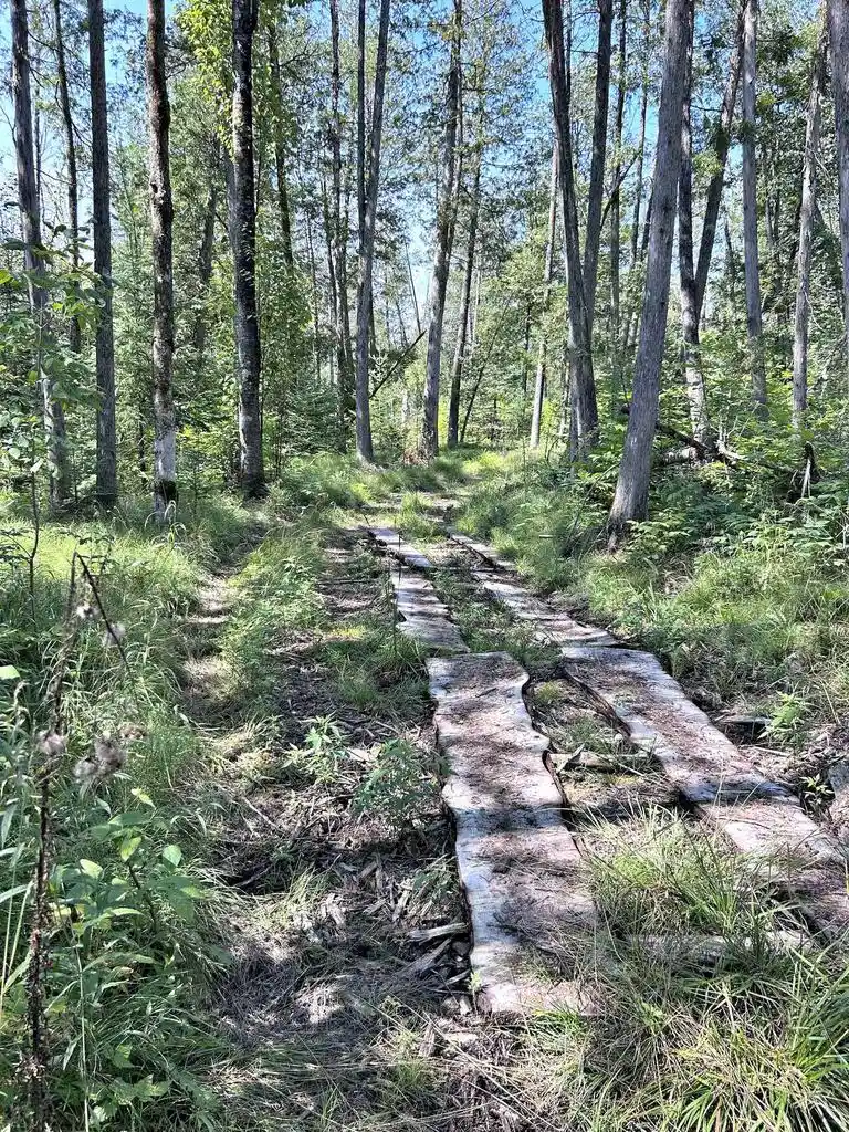 3rd image of Cr G-12 Road Road, Stephenson, MI 49887 | MLS# 50331575