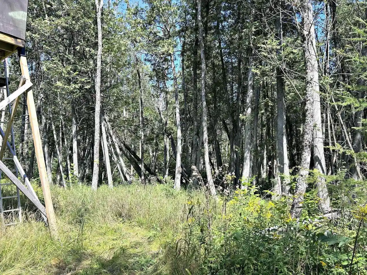 5th image of Cr G-12 Road Road, Stephenson, MI 49887 | MLS# 50331575