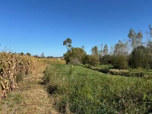3rd image of County Road N, Argyle, WI 53504 | MLS# 50331577