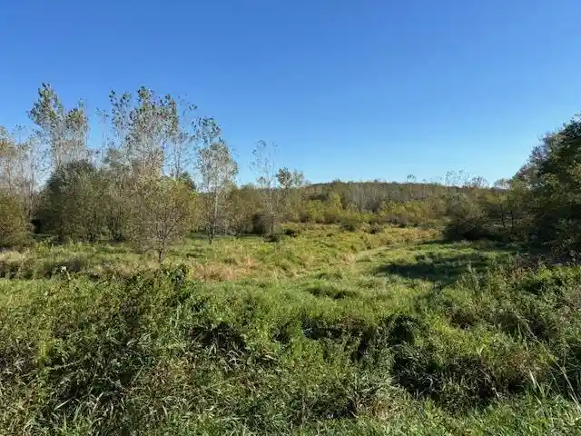 4th image of County Road N, Argyle, WI 53504 | MLS# 50331577