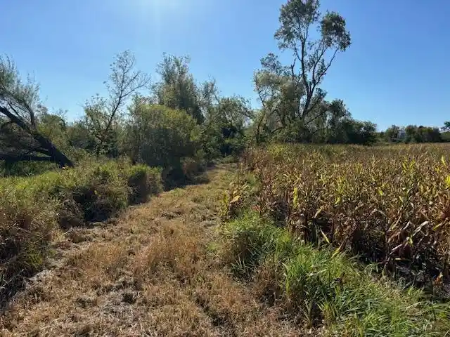 5th image of County Road N, Argyle, WI 53504 | MLS# 50331577