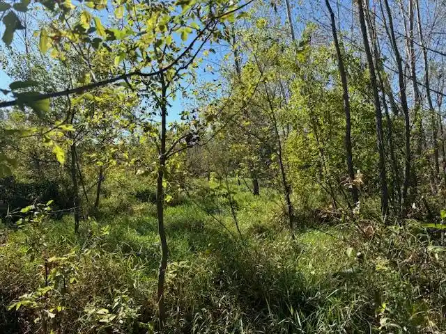 21st image of County Road N, Argyle, WI 53504 | MLS# 50331577