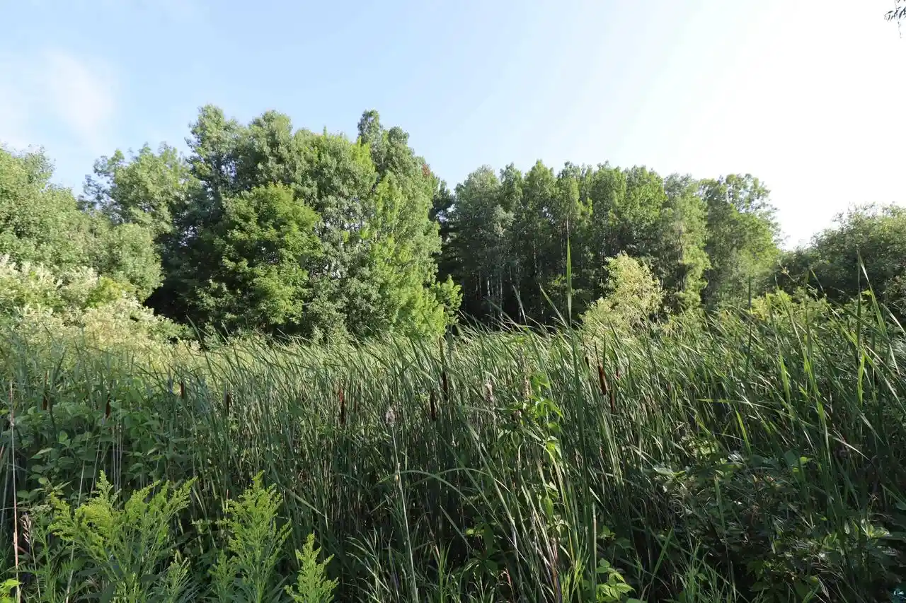 Photo 4 of Sale Pending at 814 N 8Th Ave W, Washburn, WI 54891 | MLS# 6127581 | Listing updated on 2026-09-11