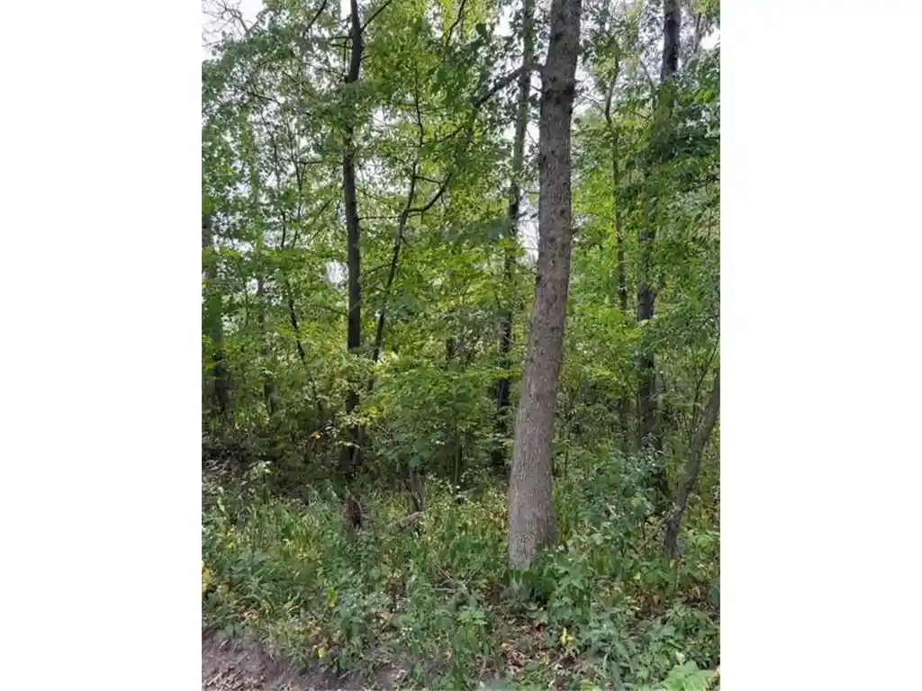 Photo 2 of Sale Pending at Xxx 260th, Woodville, WI 54028 | MLS# 7133059 | Listing updated on 2026-09-22