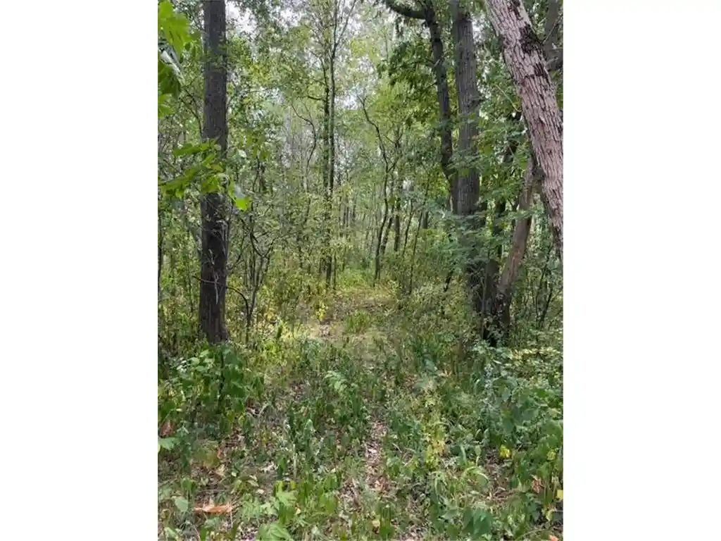 Photo 3 of Sale Pending at Xxx 260th, Woodville, WI 54028 | MLS# 7133059 | Listing updated on 2026-09-22