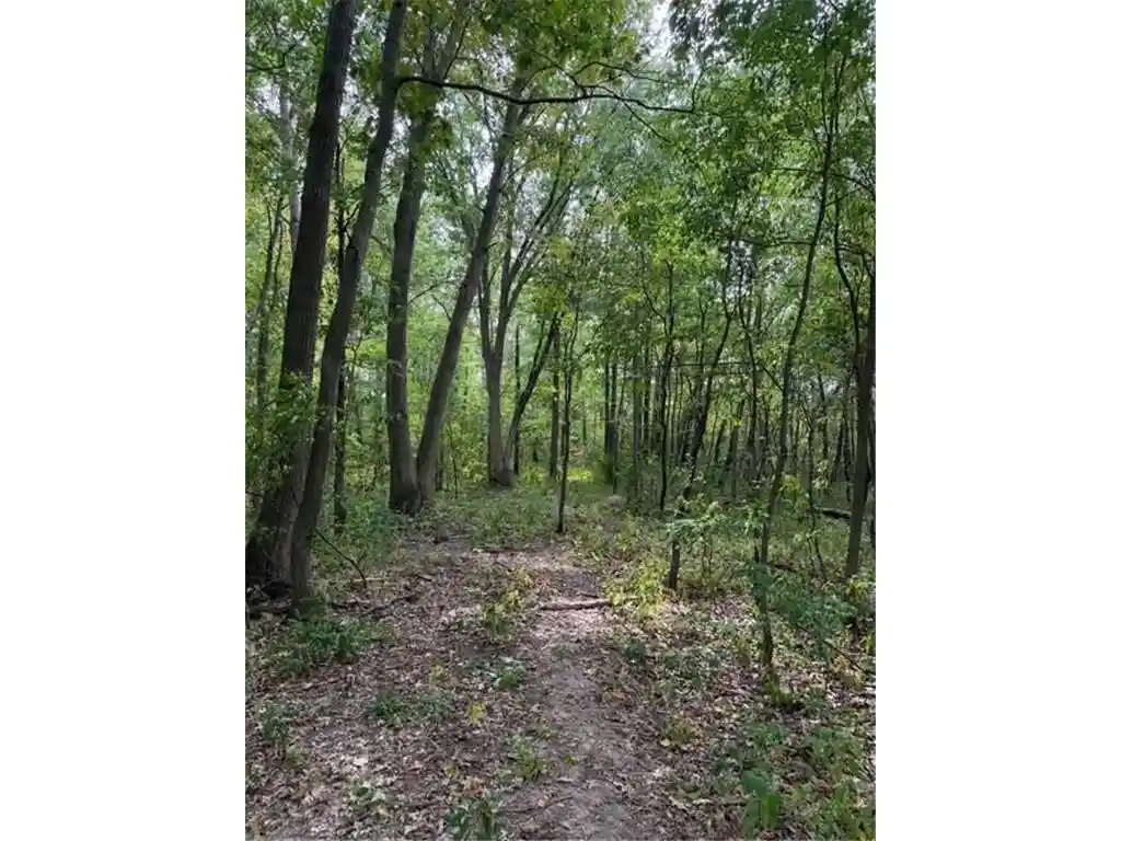 Photo 4 of Sale Pending at Xxx 260Th, Woodville, WI 54028 | MLS# 7133059 | Listing updated on 2026-09-22