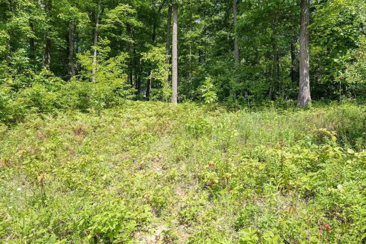 3rd image of S403A Woefl Road Road, Lyndon Station, WI 53944 | MLS# 2031231