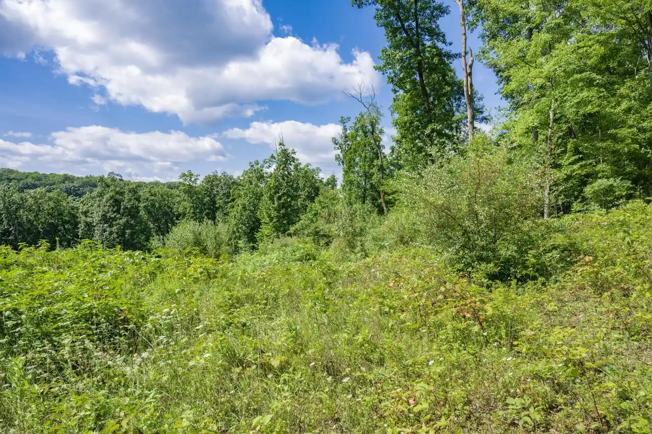 5th image of S403A Woefl Road Road, Lyndon Station, WI 53944 | MLS# 2031231