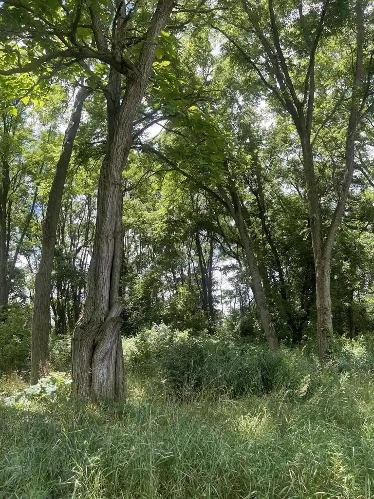 2nd image of 0 31st Street Street, Kansasville, WI 53139 | MLS# 1977701