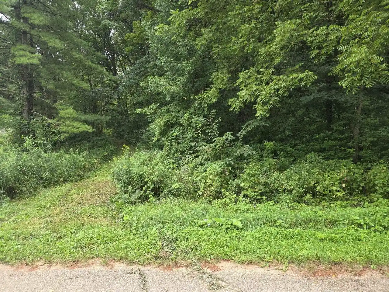 2nd image of Tbd Marshall Rd Road Road, Richland Center, WI 53581 | MLS# 2031243